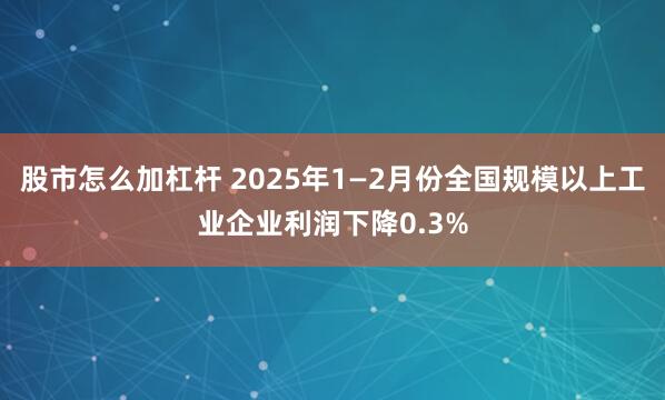 股市怎么加杠杆 2025年1—2月份全国规模以上工业企业利润下降0.3%