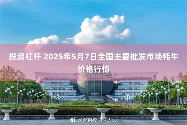 投资杠杆 2025年5月7日全国主要批发市场牦牛价格行情