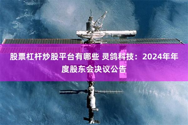股票杠杆炒股平台有哪些 灵鸽科技：2024年年度股东会决议公告
