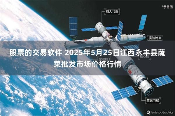 股票的交易软件 2025年5月25日江西永丰县蔬菜批发市场价格行情