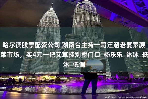 哈尔滨股票配资公司 湖南台主持一哥汪涵老婆素颜逛菜市场，买4元一把艾草挂别墅门口_杨乐乐_沐沐_低调